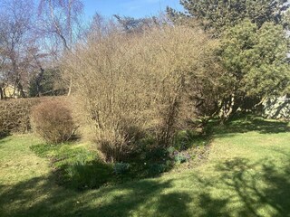 Vakantiehuis Dannemare Buitenaudio-opname 7