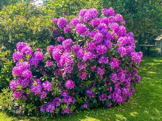 Vakantiehuis Dannemare  12