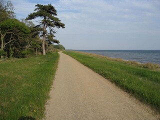 Vakantiehuis Dannemare  21