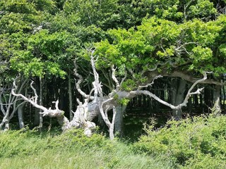 Casa per le vacanze Dannemare  22