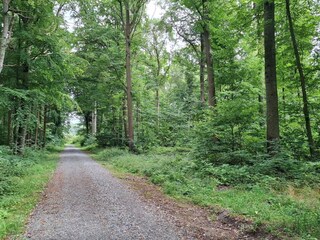 Vakantiehuis Dannemare  23