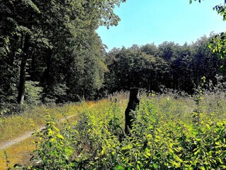 Casa per le vacanze Dannemare  24