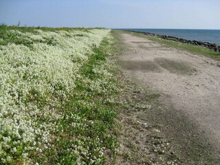 Vakantiehuis Dannemare  25