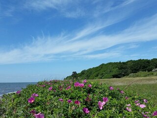 Casa per le vacanze Dannemare  27