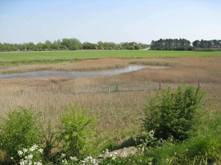 Casa per le vacanze Dannemare  28