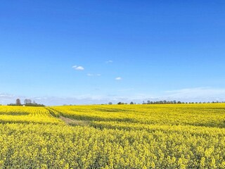 Ferienhaus Degeberga  25