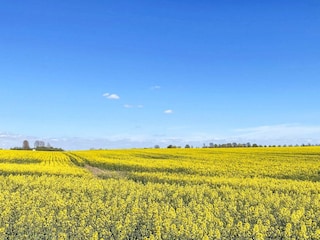 Vakantiehuis Degeberga  25