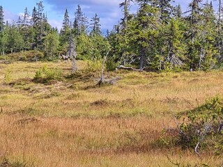 Holiday house Welt Outdoor Recording 3