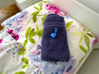 Apartamento Meidling Características 13