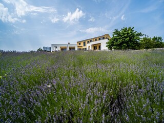 Villa Divšići Enregistrement extérieur 7