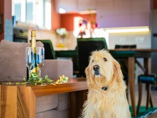 Villa Divšići Équipement 32