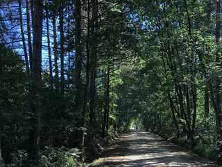 Parc de vacances Brecht Environnement 8