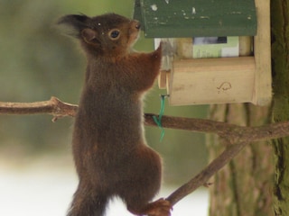 Vakantiepark Brecht  36