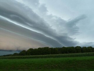 Vakantiepark Brecht Omgeving 9