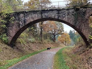 Ferienpark Brecht Umgebung 18