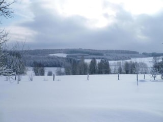 Parc de vacances Brecht Environnement 11