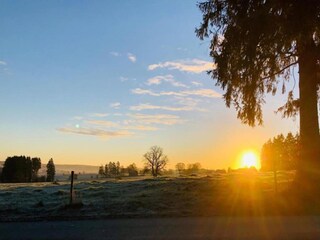 Vakantiepark Brecht Omgeving 15