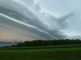 Vakantiepark Brecht Omgeving 15