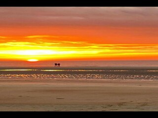 Parco vacanze Brecht Ambiente 23