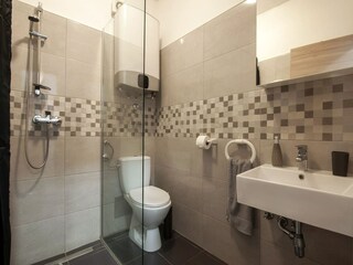 Apartment Valbandon Ausstattung 11