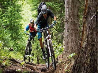 Vakantiepark Brecht Omgeving 18