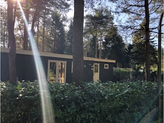 Chalet Brecht Außenaufnahme 2
