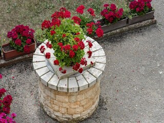 Apartment Valbandon  38