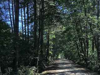 Chalet Brecht Umgebung 31