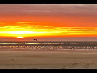 Chalet Brecht Environnement 29