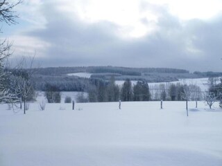 Chalet Brecht Environnement 17