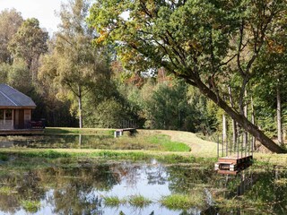 Ferienhaus Gedinne Umgebung 17