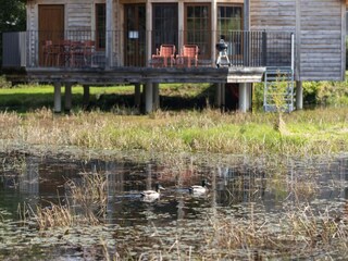 Ferienhaus Gedinne  28