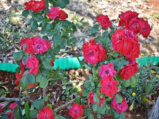 Appartement Valbandon  40