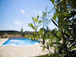 Apartment Valbandon Outdoor Recording 10