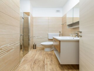 Apartment Valbandon Features 19