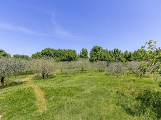 Apartment Valbandon Environment 30