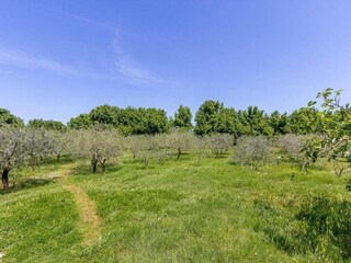 Apartamento Valbandon Entorno 27