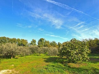 Apartamento Valbandon Entorno 28