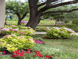 Appartement Valbandon Buitenaudio-opname 2