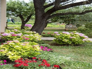 Apartamento Valbandon Grabación al aire libre 3