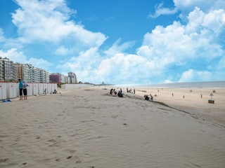 Maison de vacances Koksijde Environnement 10