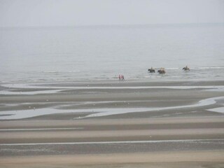 Appartamento Koksijde Ambiente 18