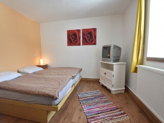 Casa per le vacanze Horni Plana Caratteristiche 25