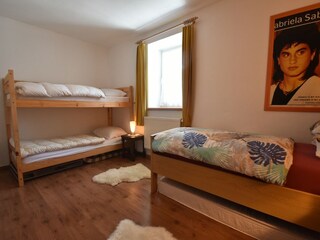 Casa per le vacanze Horni Plana Caratteristiche 29