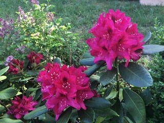 Huisboot Zehdenick Omgeving 36