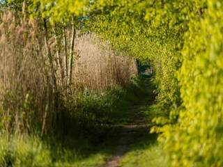 Casa galleggiante Zehdenick Ambiente 39