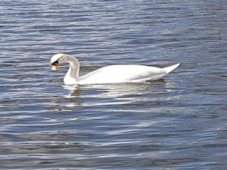 Hausboot Zehdenick Umgebung 33