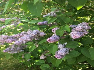 Hausboot Zehdenick Umgebung 31