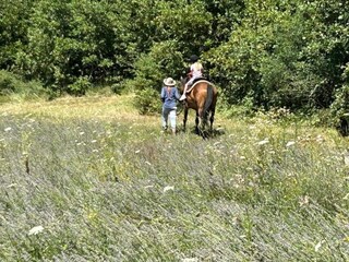 Maison de vacances Rabac Environnement 35