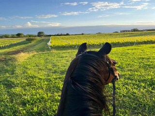Holiday house Rabac Environment 36